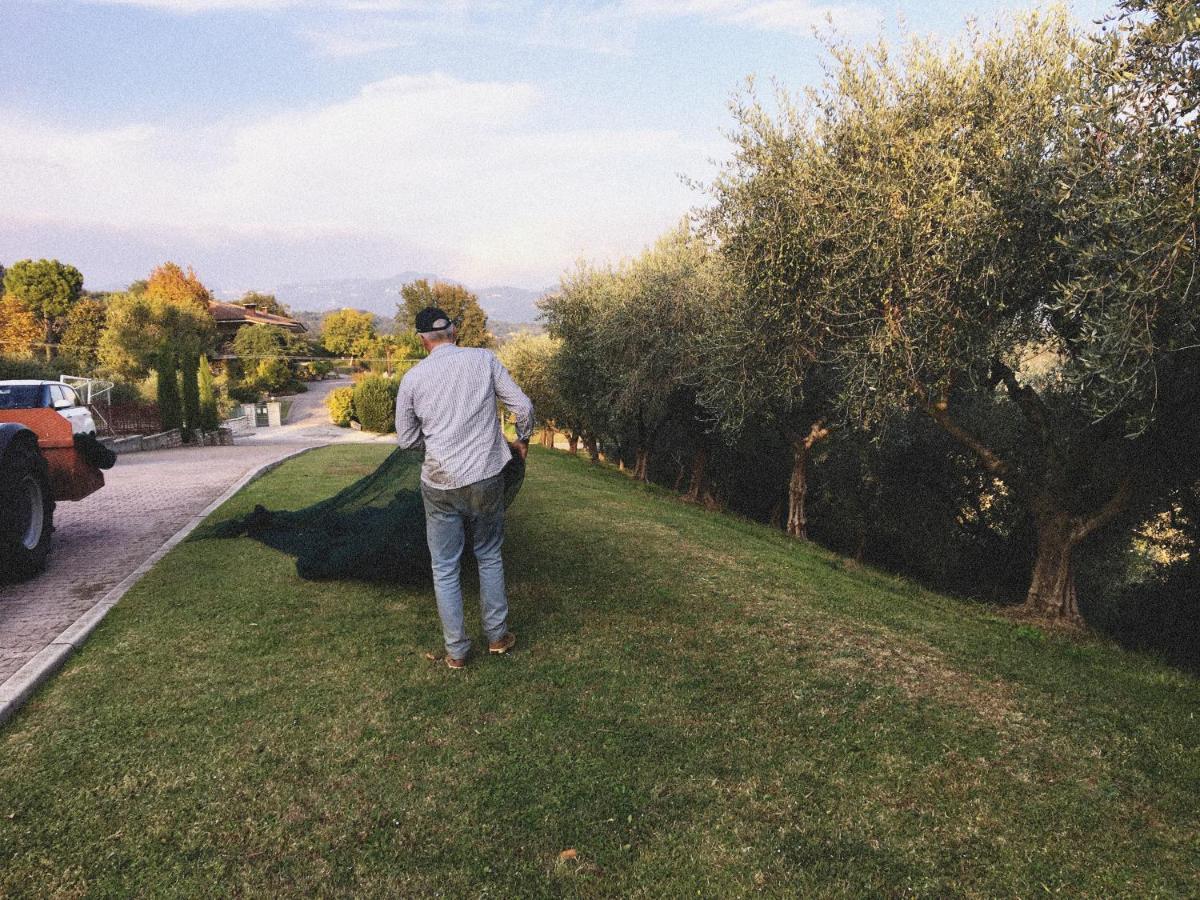 Agriturismo Ca' Cristane Villa Rivoli Veronese Екстериор снимка