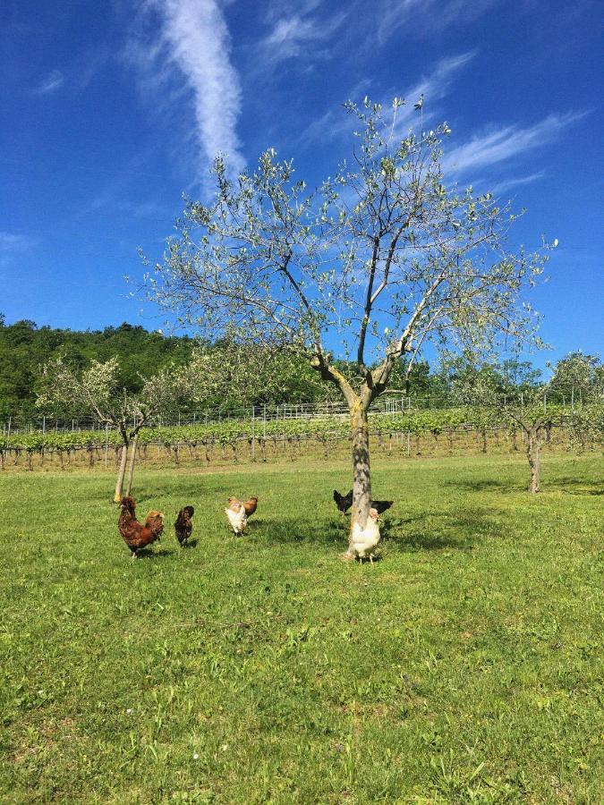 Agriturismo Ca' Cristane Villa Rivoli Veronese Екстериор снимка