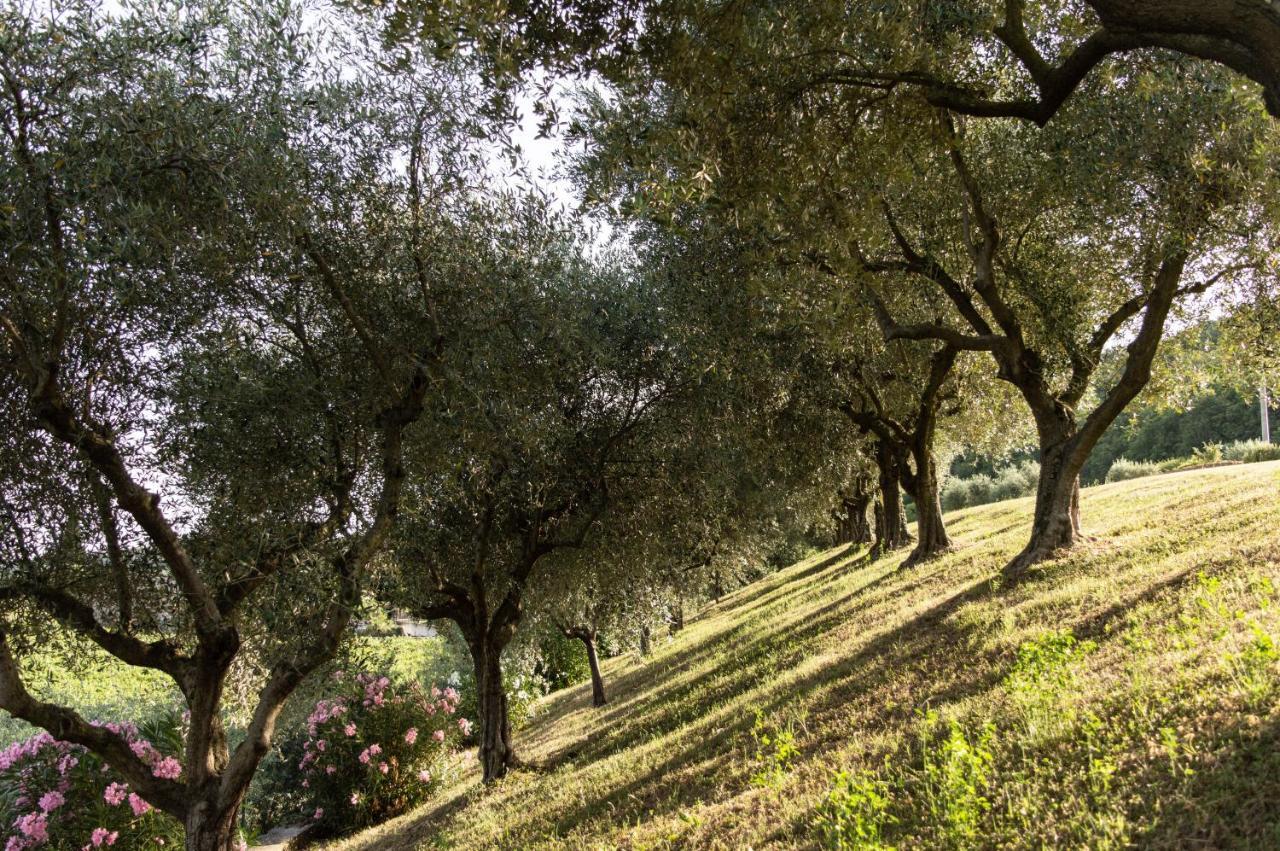 Agriturismo Ca' Cristane Villa Rivoli Veronese Екстериор снимка