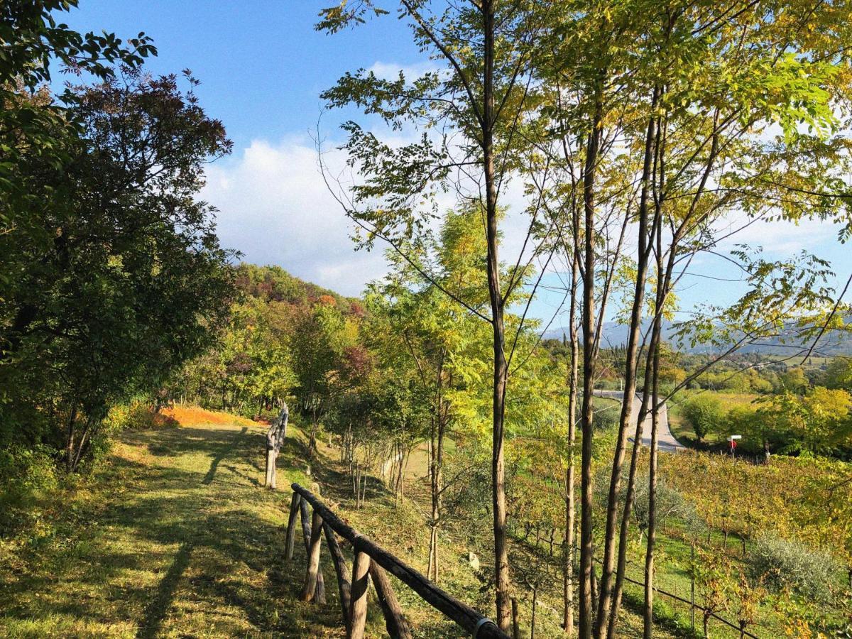 Agriturismo Ca' Cristane Villa Rivoli Veronese Екстериор снимка