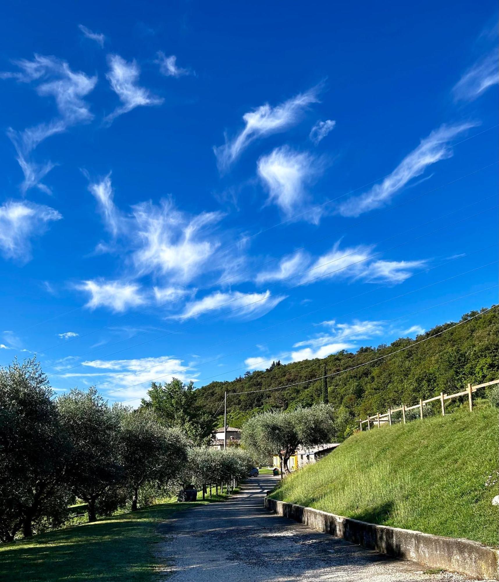 Agriturismo Ca' Cristane Villa Rivoli Veronese Екстериор снимка