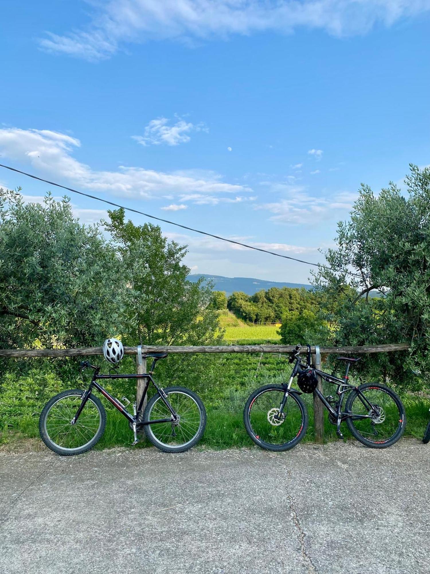 Agriturismo Ca' Cristane Villa Rivoli Veronese Екстериор снимка